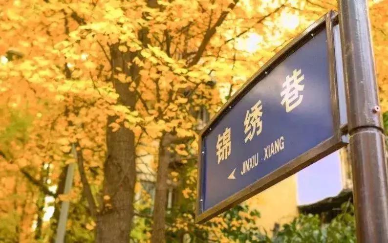 元旦去哪里玩视频,元旦适合去哪玩