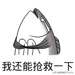 麦克风保养,怎样打理麦克风