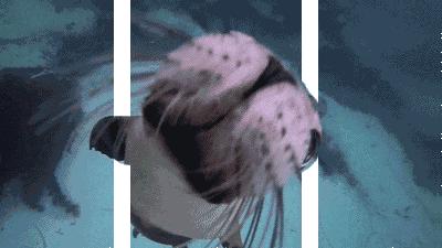 未来购物中心设计趋势,最有设计感的购物中心