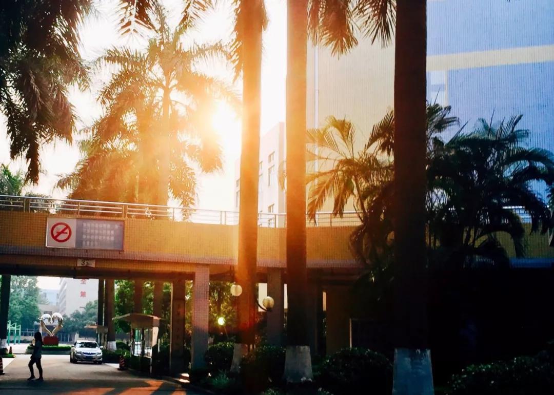 东莞东华高级中学是私立吗,东莞东华高级中学办学特点