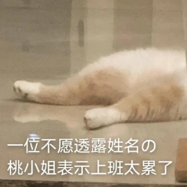 双十一厨房小家电必买清单,双十一家电购物清单文案