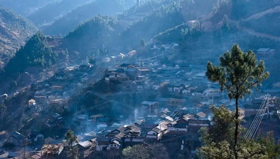 它们冷门，可却是如此幽静美丽