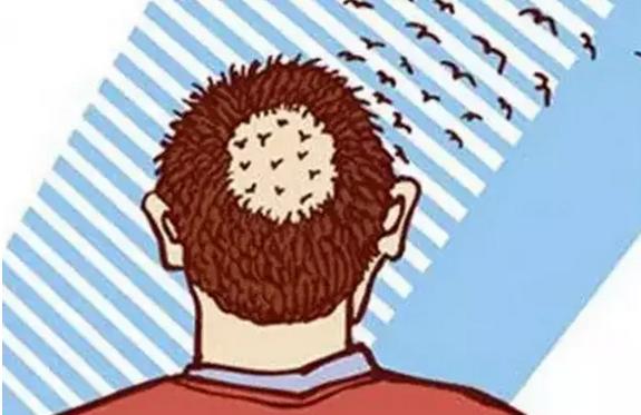 中草药洗头发注意什么,草药洗头什么时候洗好