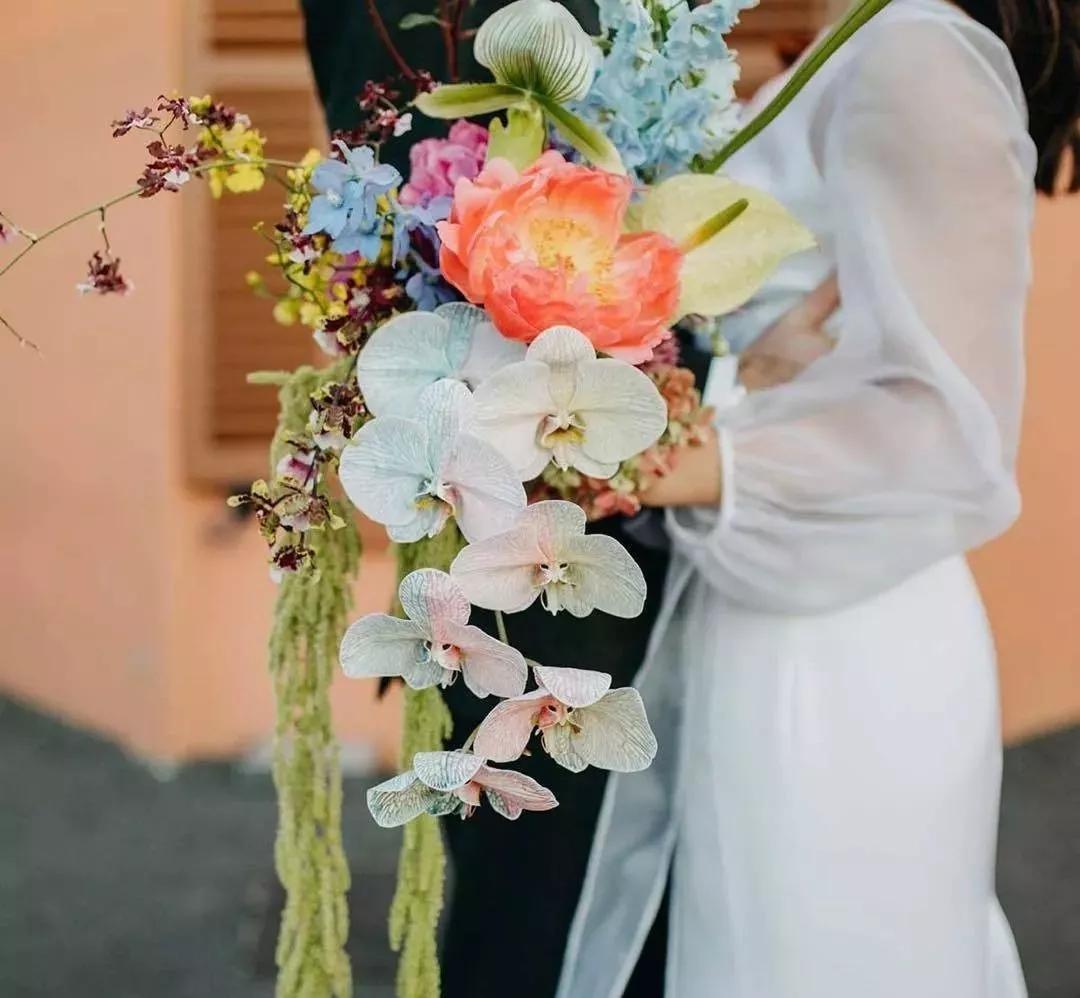 花材不剪枝如何养护,花材不用换水养护方法大全