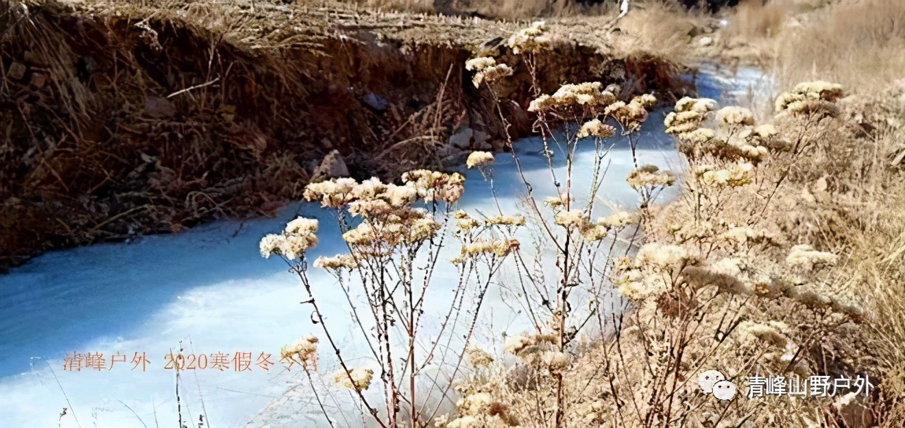 适合小学生寒假去的冬令营,冬天儿童冰雪游学