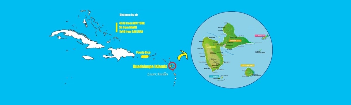 凤梨名字由来,凤梨名字的由来