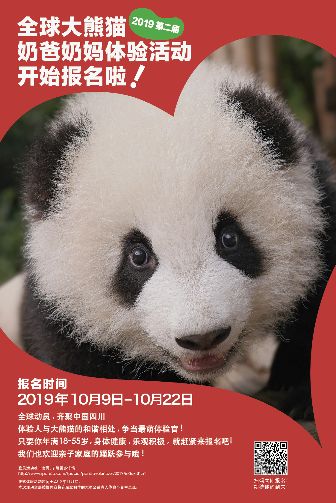 正在招募！滚滚喊你来当奶爸奶妈啦