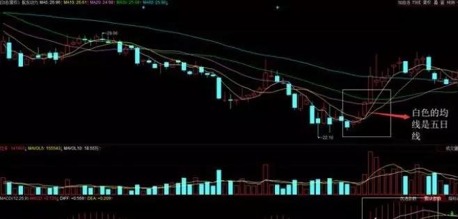 及时止损止盈一般是不会亏的,散户止损有什么好处