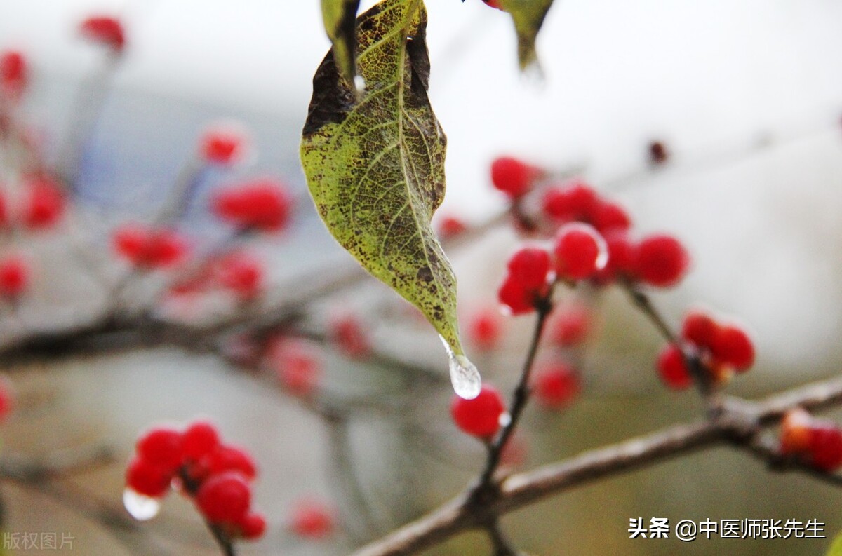 冬季是进补的最佳季节,冬季是一年四季中进补的最好季节