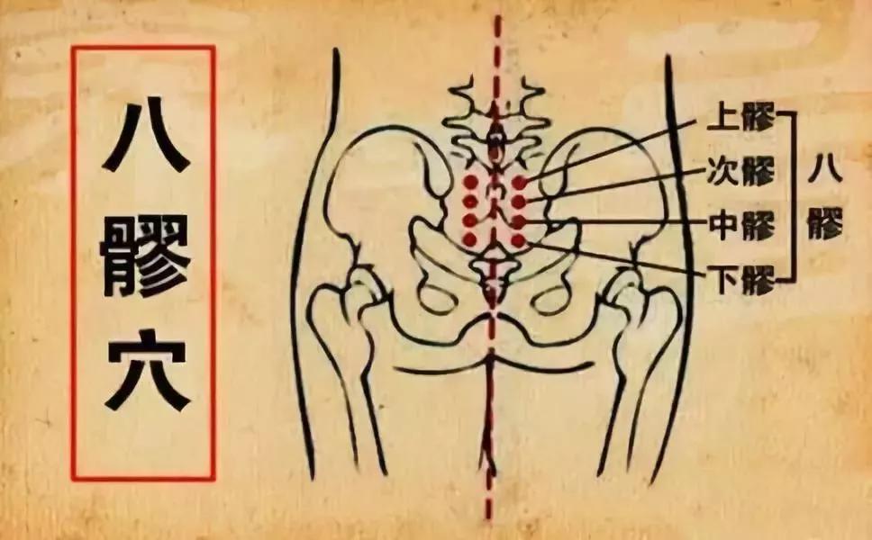 长得像螃蟹的穴位图,一个穴位功效似人参