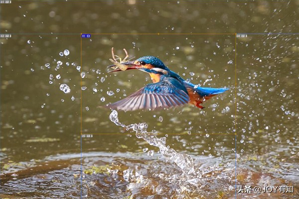 Photoshop切片:教你如何创建切片,很简单