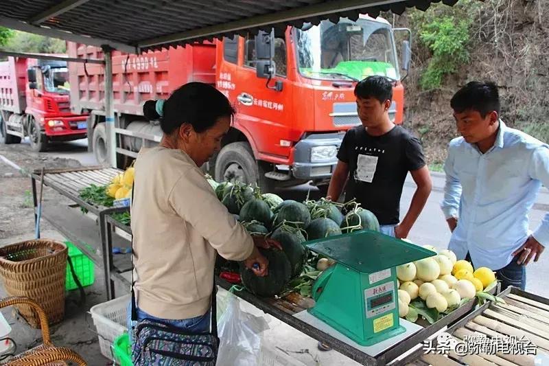弥勒千亩西瓜熟了!黄心瓜、红心瓜、小香瓜…你喜欢哪种?