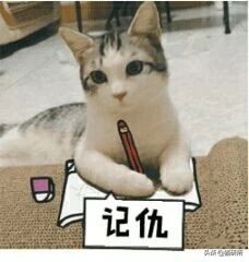 打猫过后怎么让猫不记仇,打猫之后怎么重新和猫和好