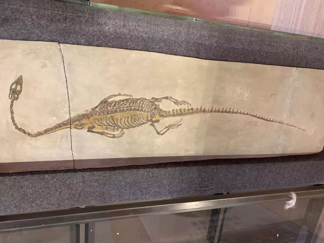 北京运河苑温泉水世界,好似闹市中的“瑶池仙境”,乐在水世界