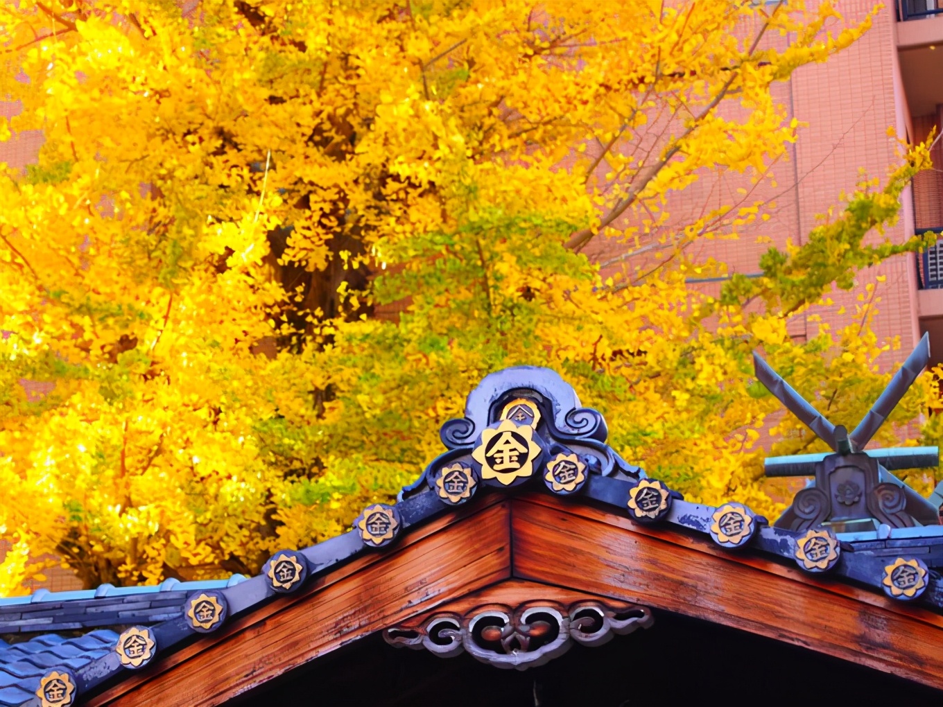 日本神社祈愿符,日本神社祈福学业