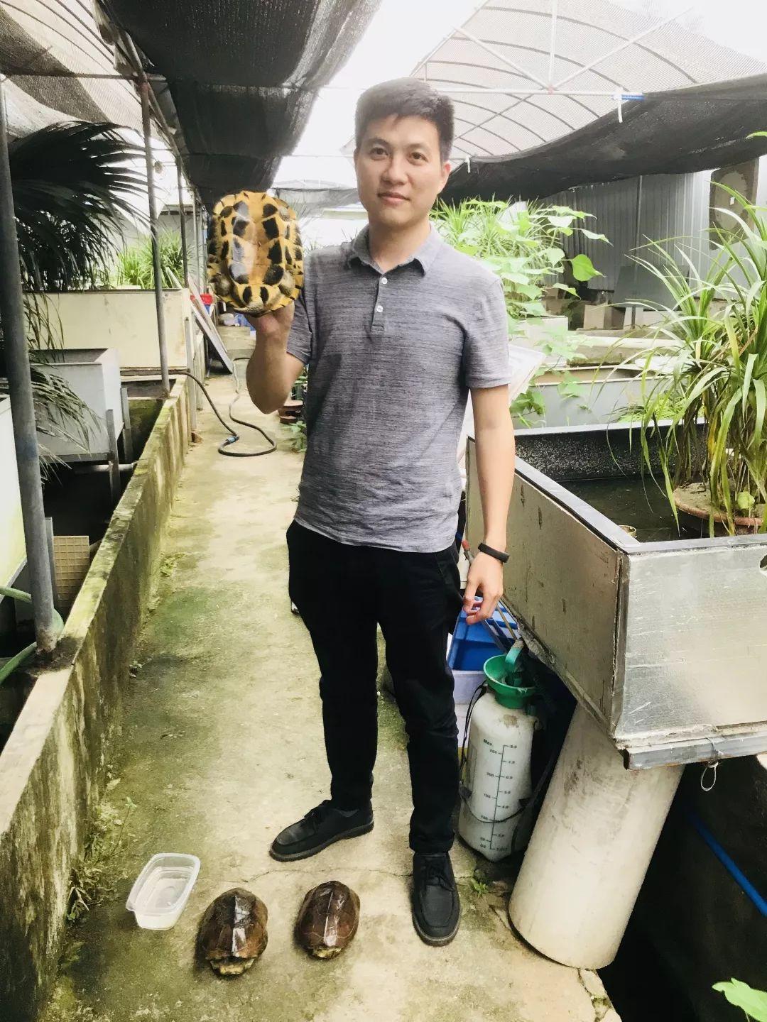 顺德龟苓膏正宗店铺,台山老字号龟苓膏