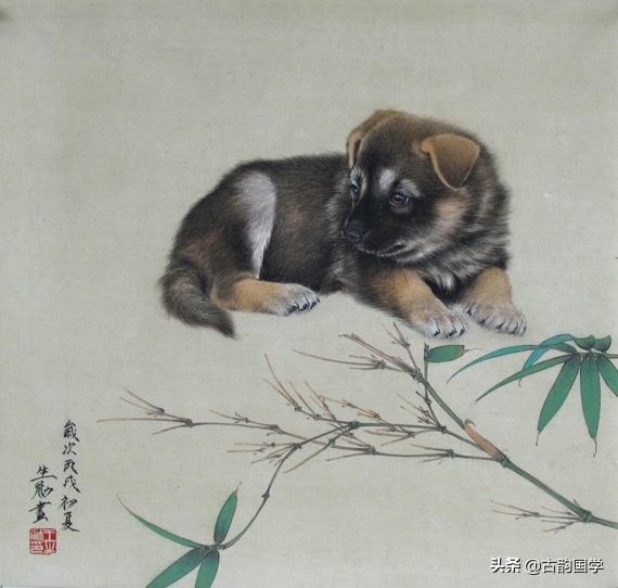 12生肖婚配相生表,12生肖婚配全解析