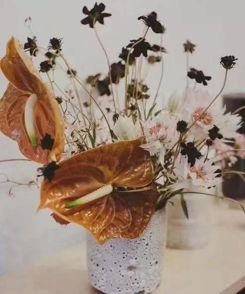 纯小白买花攻略,小白买股实操