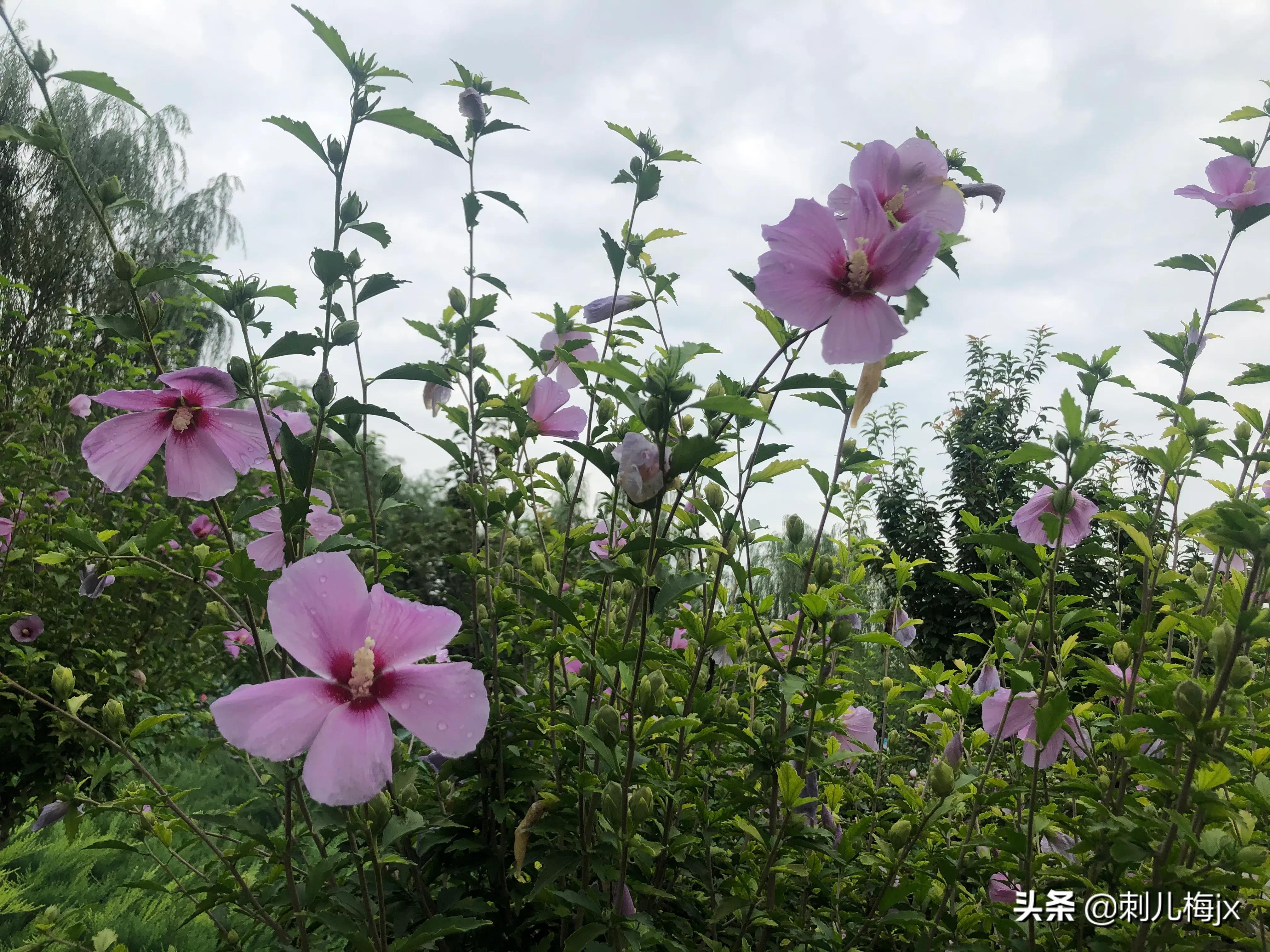 上有老,下有小哦—代沟(45)