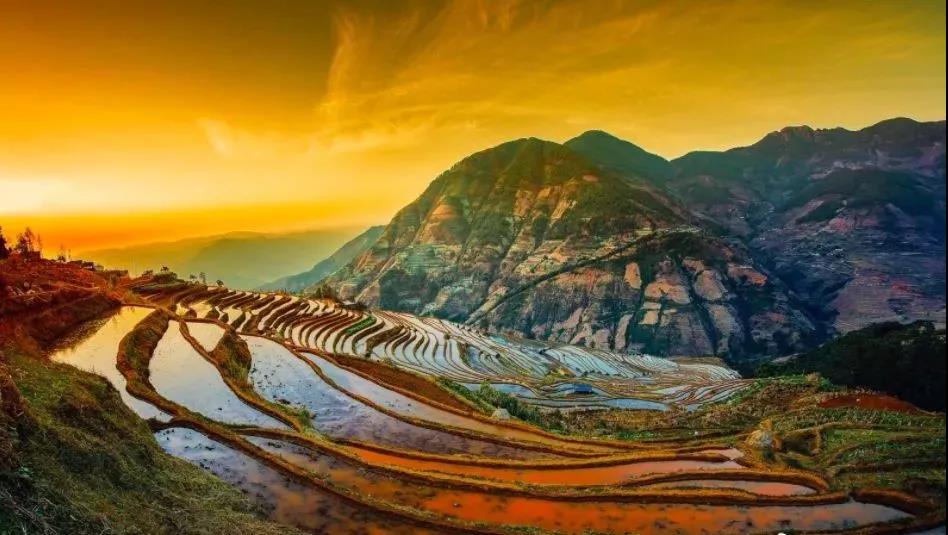 收藏！吐血整理《2019攀枝花大全》，看完秒变“地道”攀枝花人~