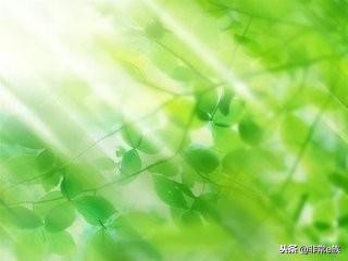 小学1-6年级成语大全及解释例句,小学1-6年级语文课本所有成语