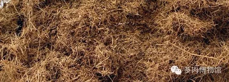 多肉用什么土长得快怎么配土,新手养多肉怎么配土最好