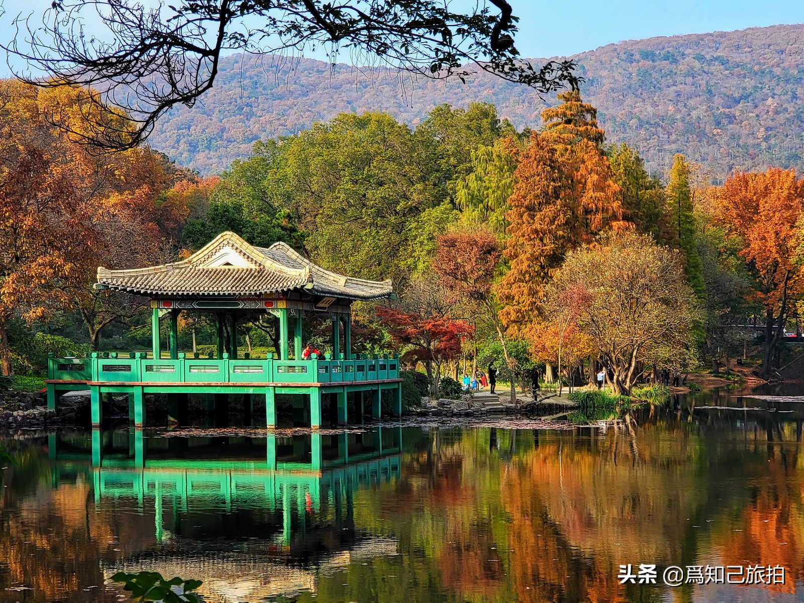 美在金陵文艺大咖秀,美在金陵梁梅