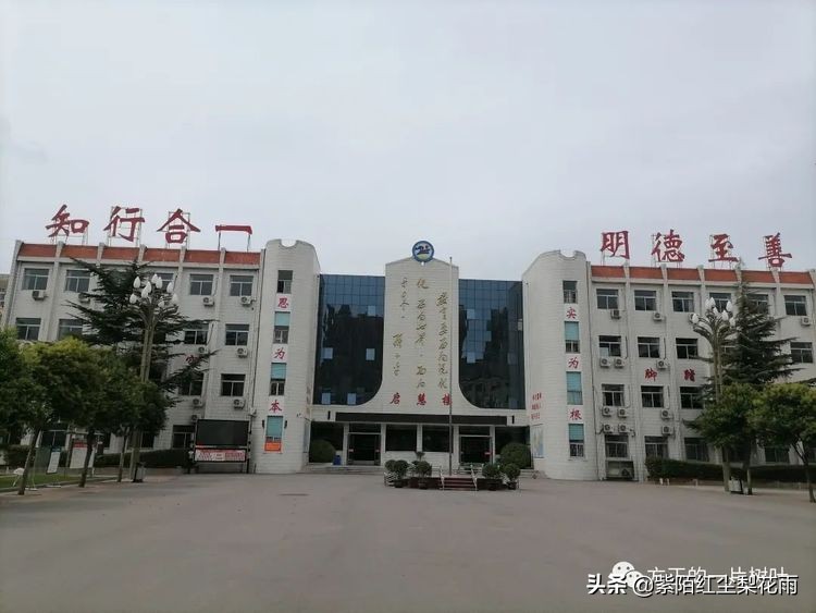 夏蝉长鸣传喜讯镇中给您报佳绩