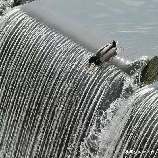 给你70万,拿一百万没有手机你愿意吗