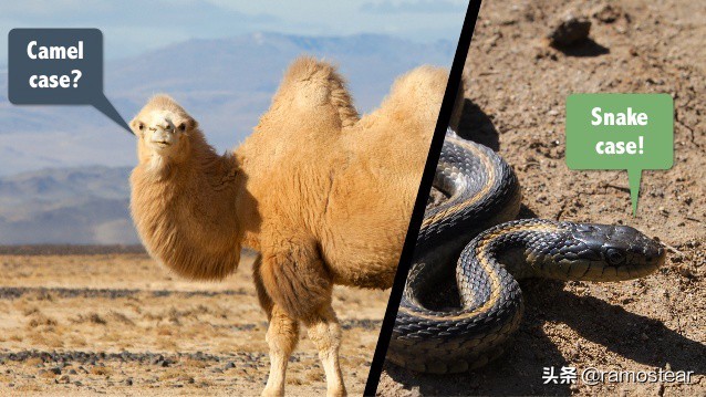 java包命名规则及规范,java基础知识易混淆知识点总结