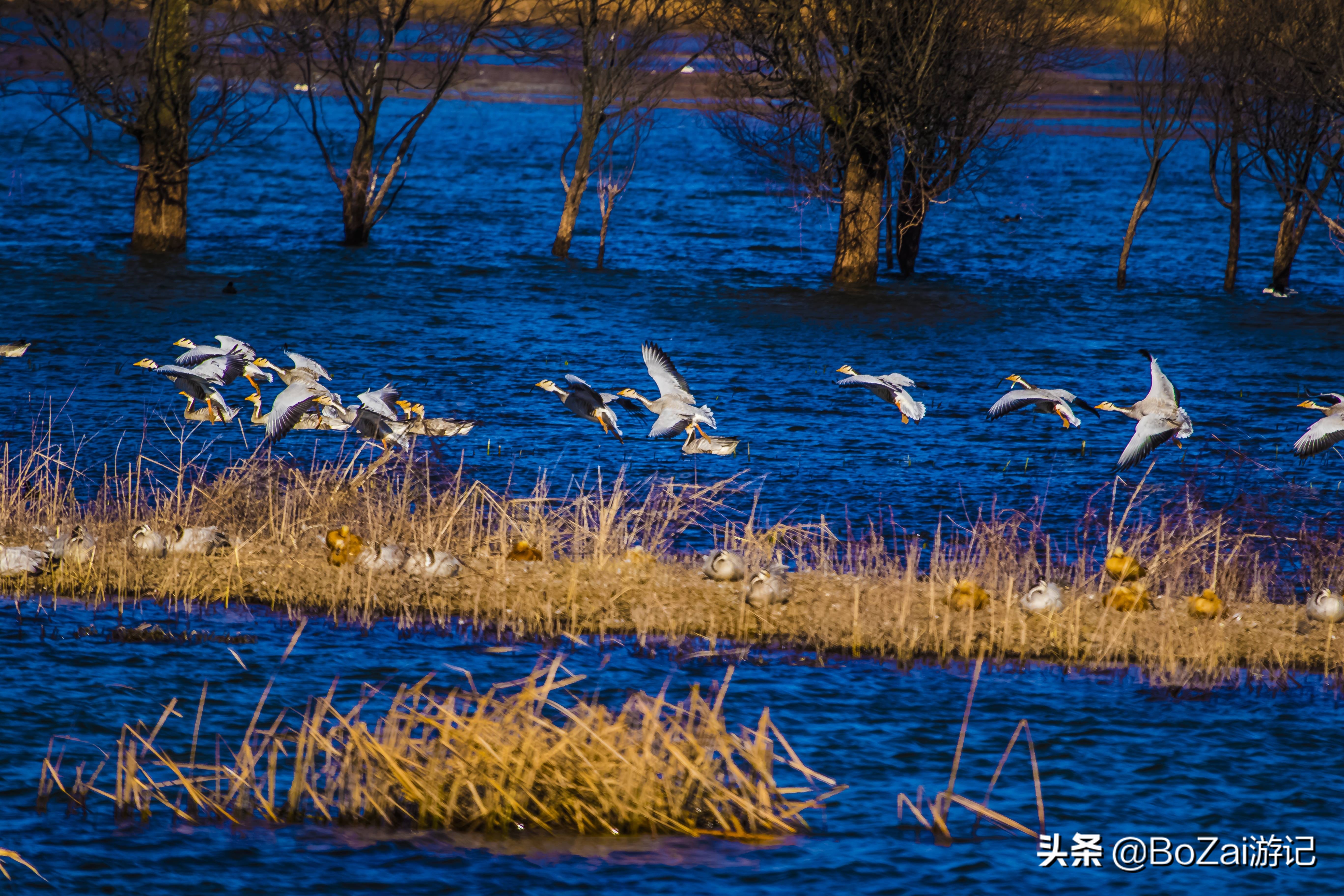 昭通到抚仙湖中途有什么景点好玩,云南昭通大关有哪些旅游景点