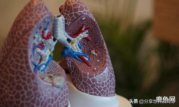 吸入的灰尘都到哪了,吸入灰尘后的感觉