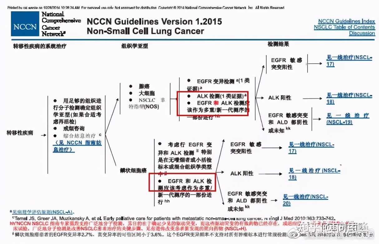 肺癌患者能不能不做基因检测，先用药呢？