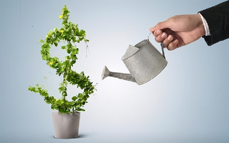 上海拍拍贷是合法的平台吗,拍拍贷靠谱吗怎么投资