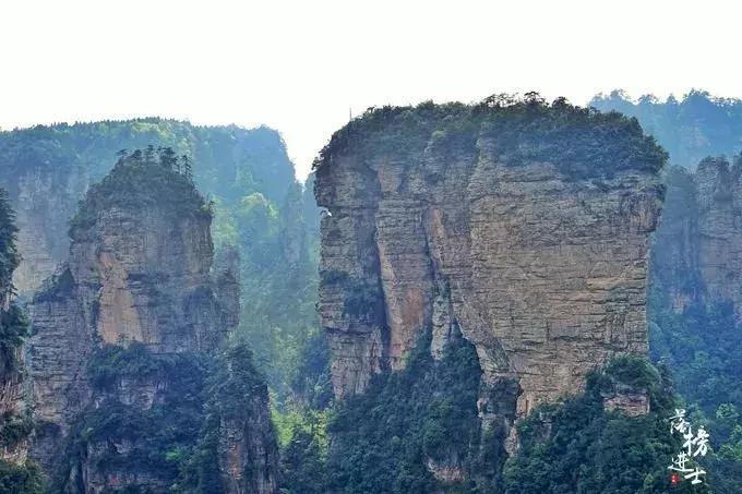 去张家界自助游攻略,张家界免门票自助游攻略图片真实