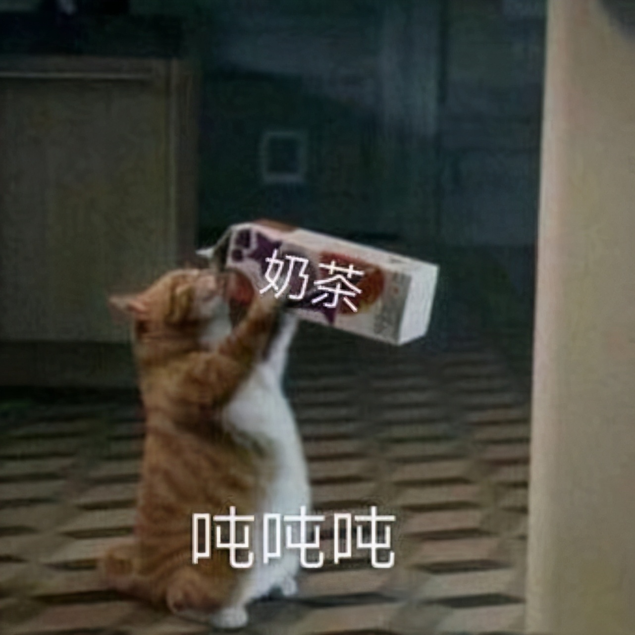 “羊来茶往”！湖北向蒙古国的回礼居然是茶？