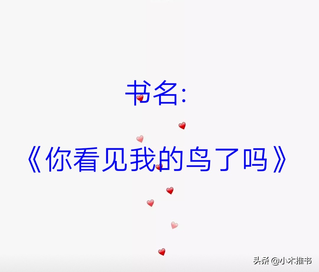 现言小说《你看见我的鸟了吗》《他的小心心呀》大佬的十级甜宠