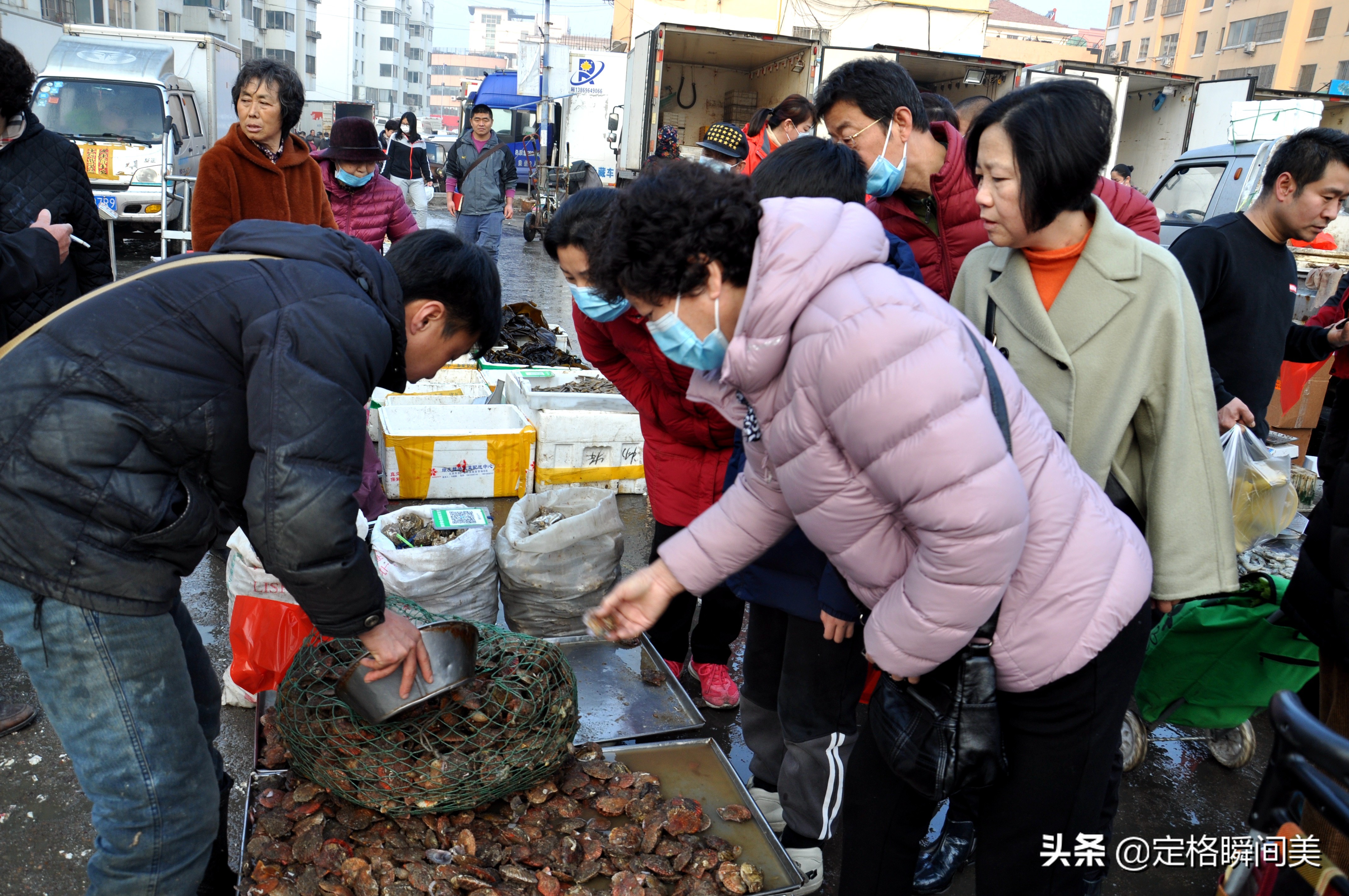 好养殖的海货,最新野生海货