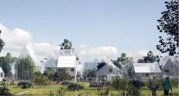 用现代科技过原始人生活,用现代科技过上原始生活