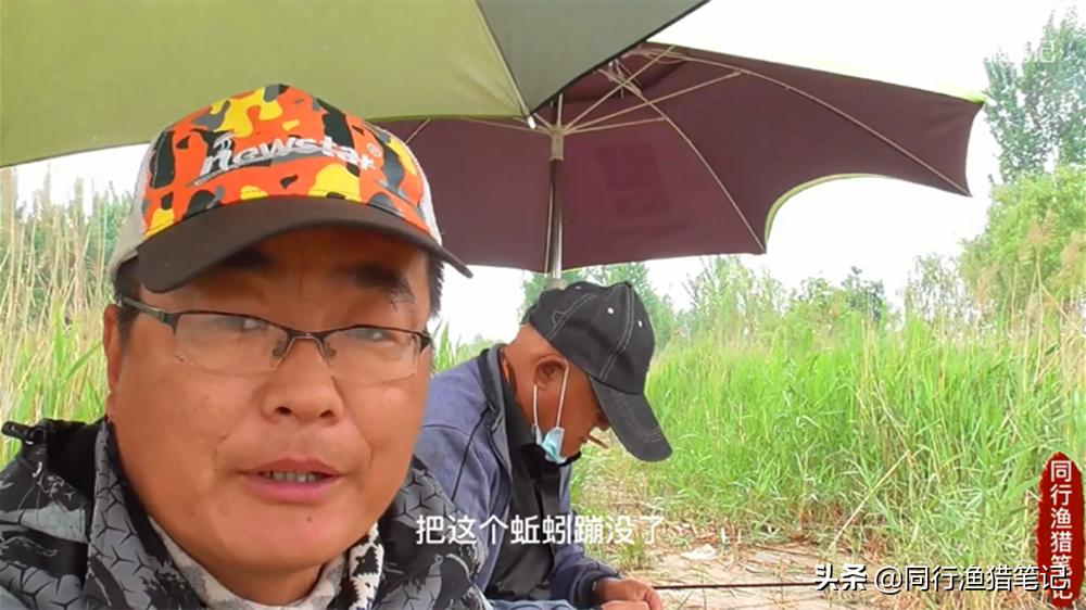 蚯蚓的正确挂法及使用方法,朝天钩挂蚯蚓牢固