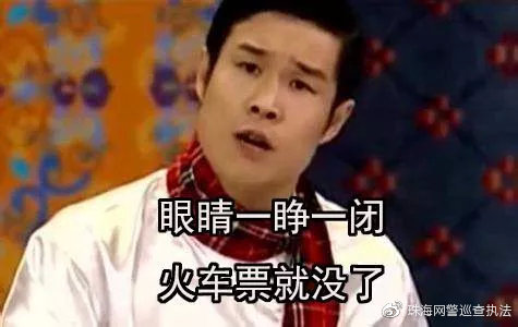 春运抢高铁票,春运车票开始抢票了