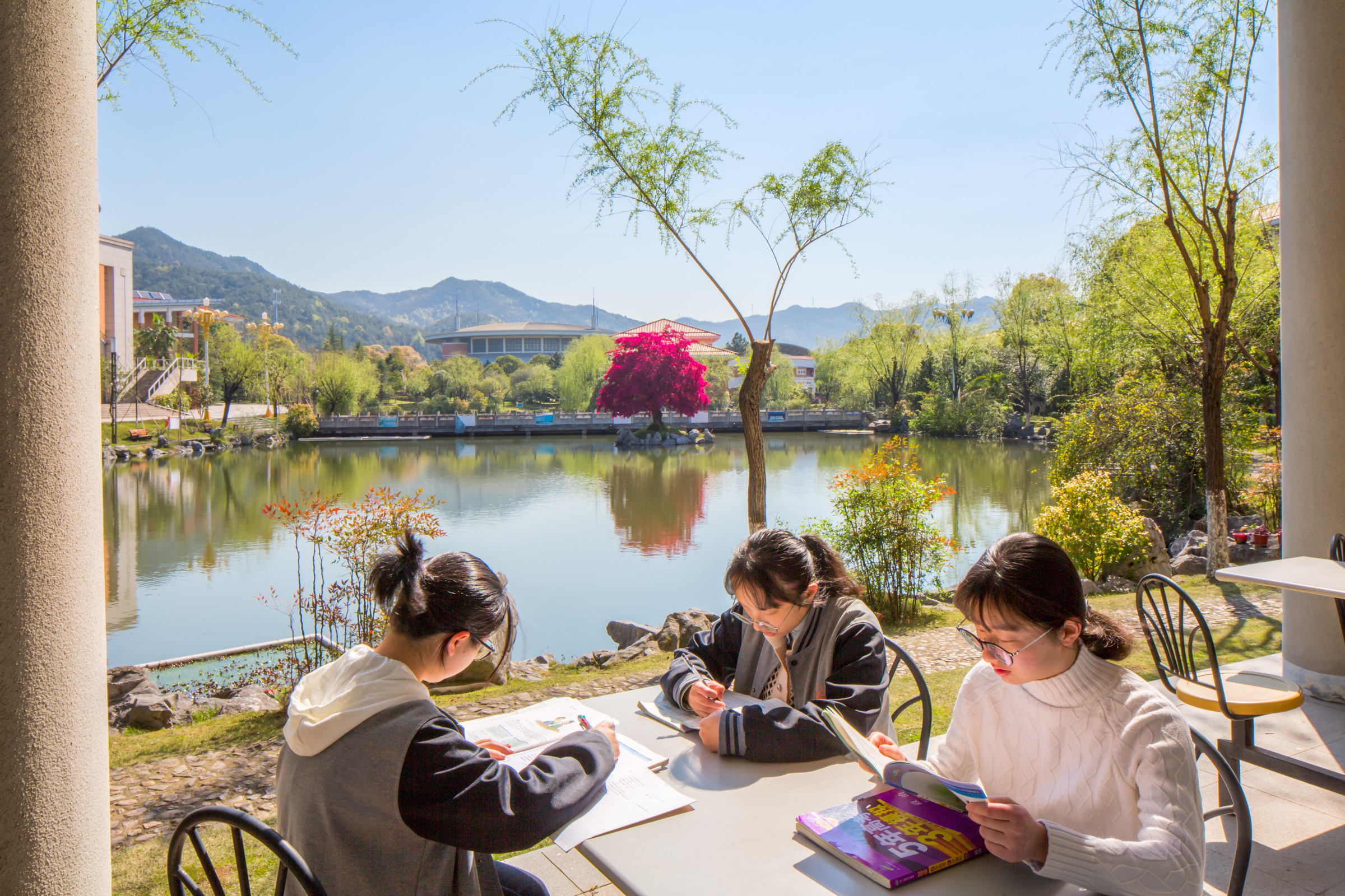 满园春色关不住,义乌中学内的一株红花檵木赢得老师纷纷赋诗赞美