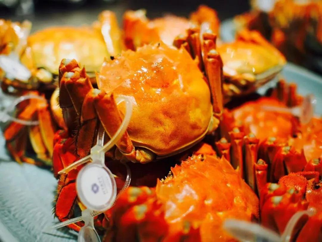 苏州美食推荐必吃,苏州旅游景点推荐美食