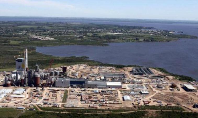 成功推开中国大门!南美一国对华出口5万头肥牛,澳洲再迎痛击