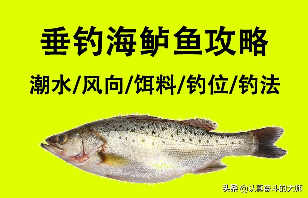 鲈鱼怎么好钓,鲈鱼好吃吗