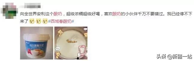 疆新域酸奶,新款新疆伊犁酸奶