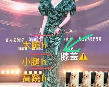 盘点明星红毯尴尬名场面,暴露身材的缺陷