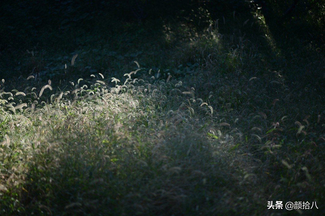 北京圆明园一日游推荐,圆明园秋色如画