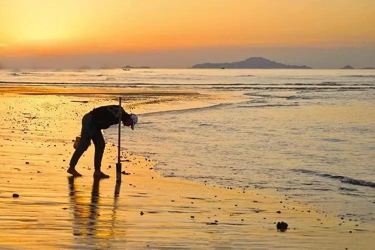 大暑的五种美,小暑的七种食物