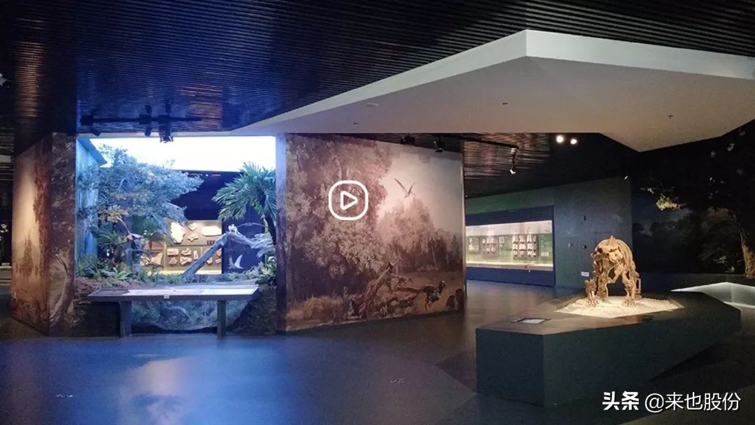 “宅”家战“疫”云端看展：50个精彩线上历史文化展